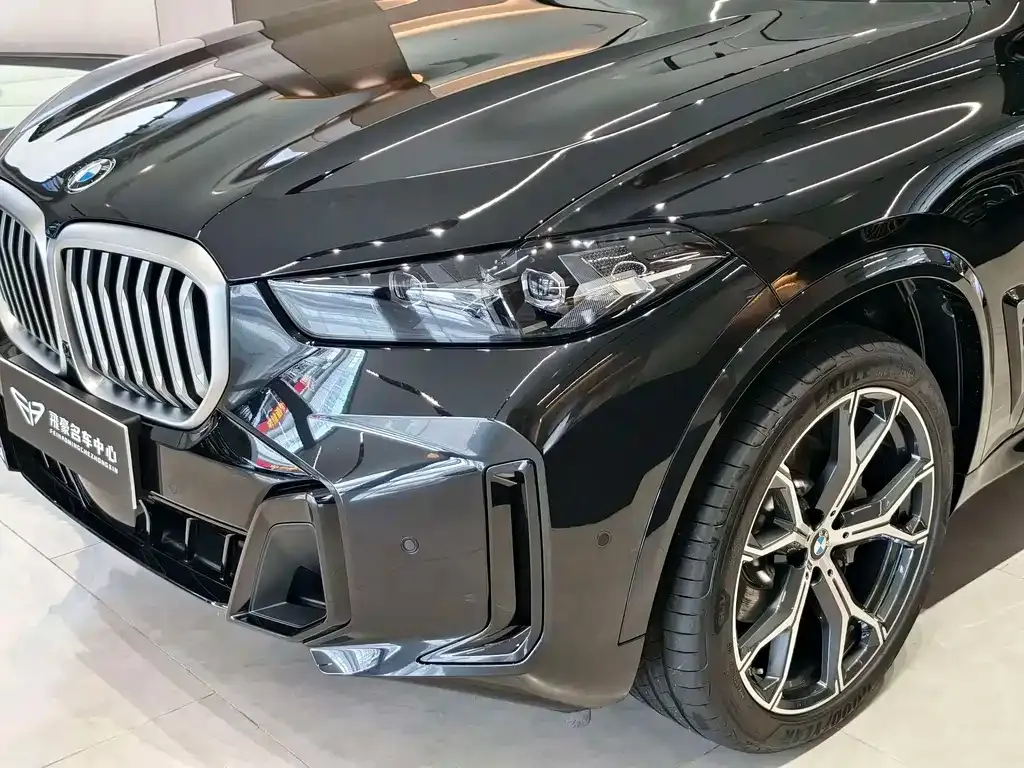 BMW X5 — фото 10