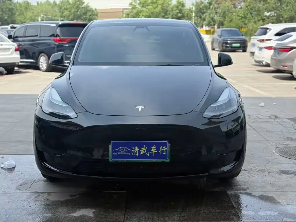 Tesla Model Y — фото 7