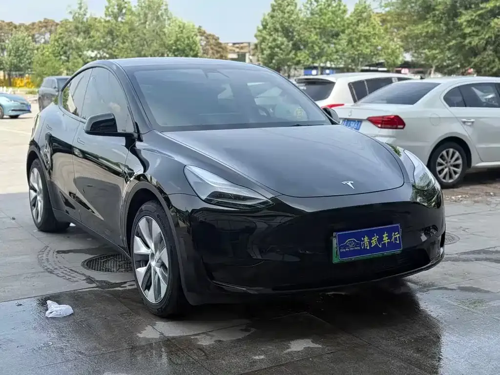 Tesla Model Y — фото 9