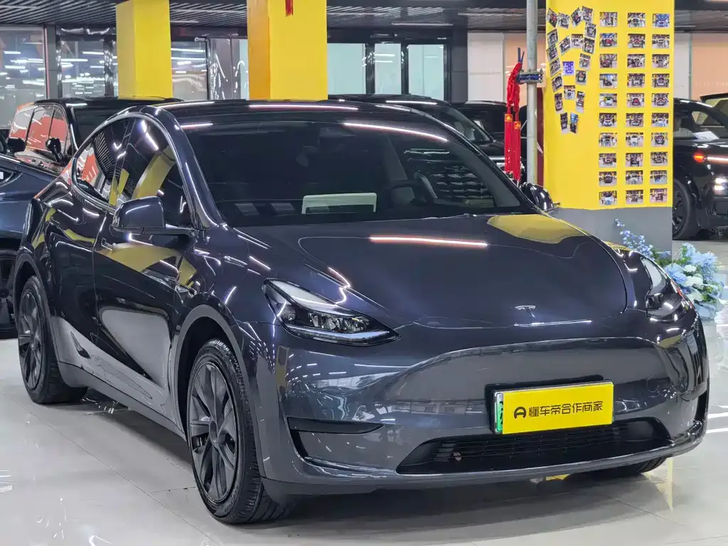 Tesla Model Y — фото 6