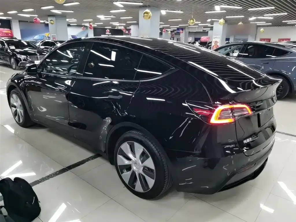 Tesla Model Y — фото 10
