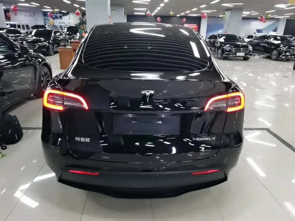 Tesla Model Y — фото 4