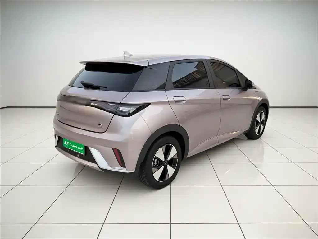 BYD Dolphin 2024 из CN, фото 3