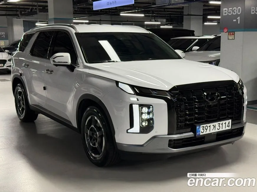 Hyundai Palisade 2024 из KR, фото 4