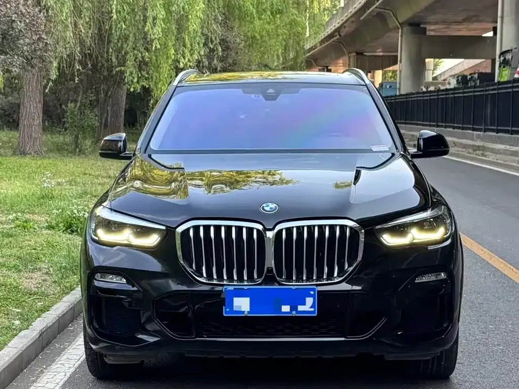 BMW X5 (Import) 2021 из CN, фото 7