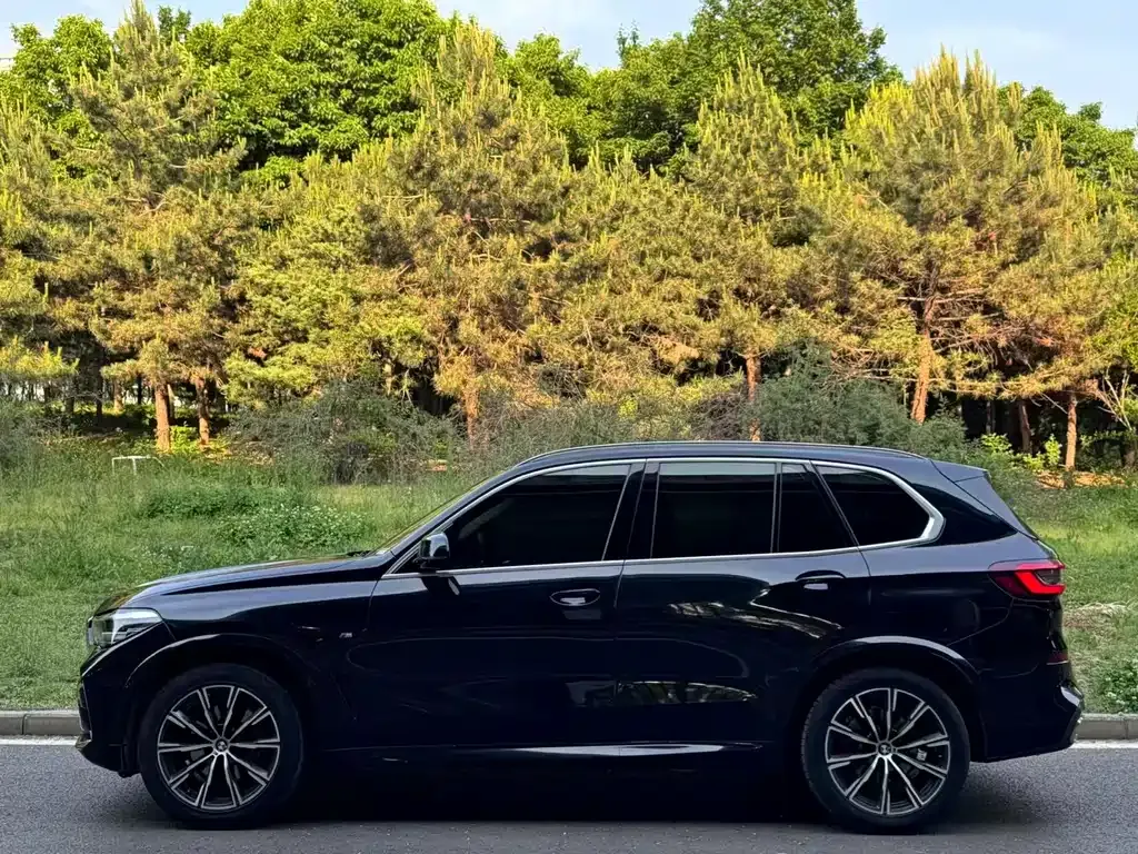 BMW X5 (Import) 2021 из CN, фото 10