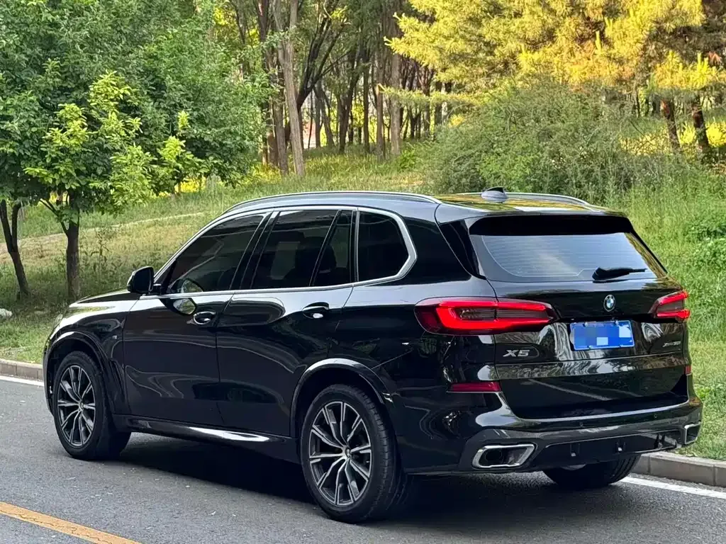 BMW X5 (Import) 2021 из CN, фото 9