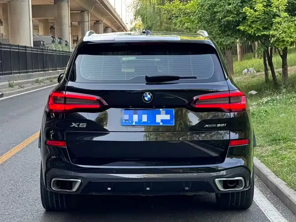 BMW X5 (Import) 2021 из CN, фото 3