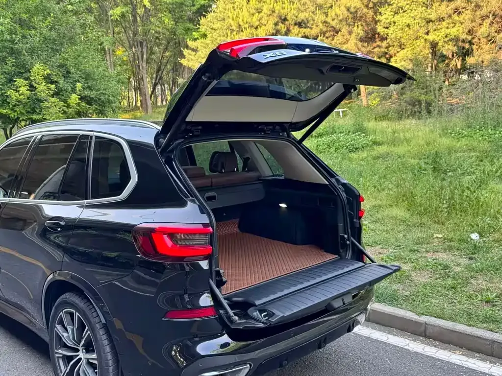 BMW X5 (Import) 2021 из CN, фото 8