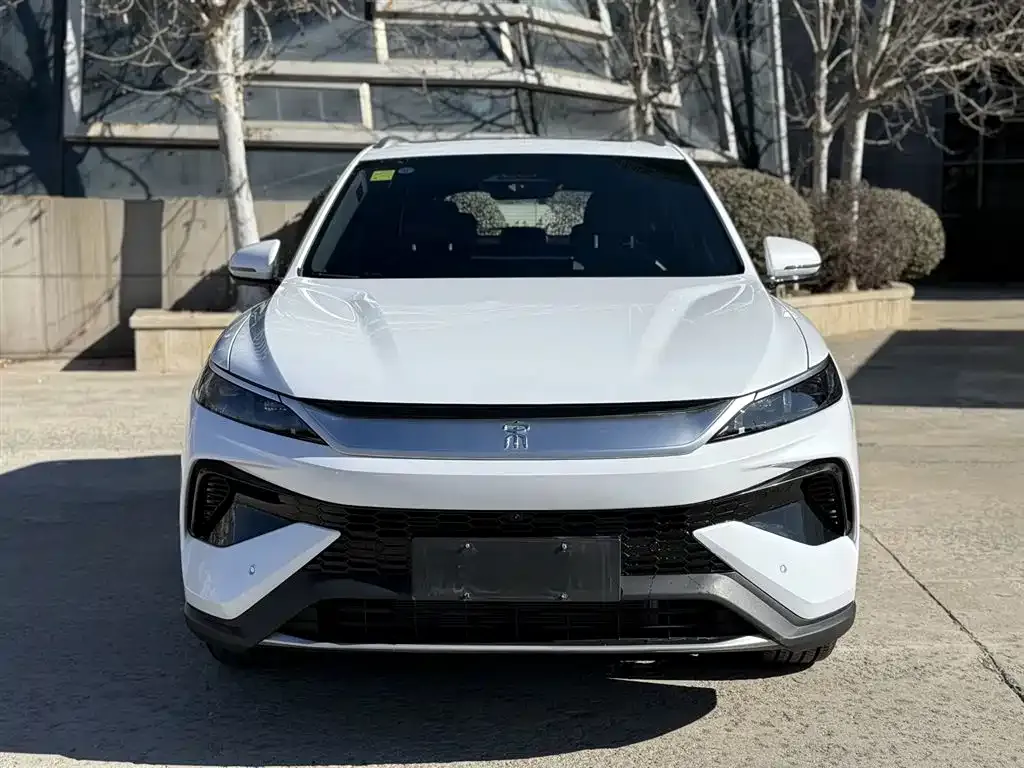 BYD Pro New Energy — фото 10