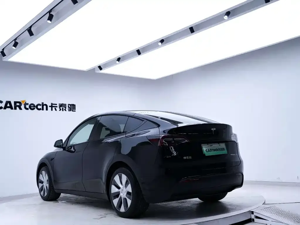 Tesla Model Y — фото 9