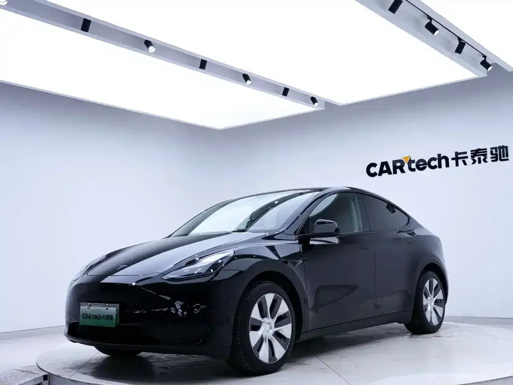 Tesla Model Y — фото 10