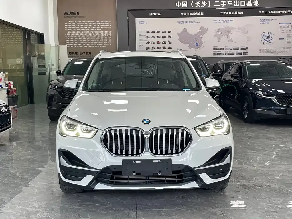 BMW X1 2023 из CN, фото 6