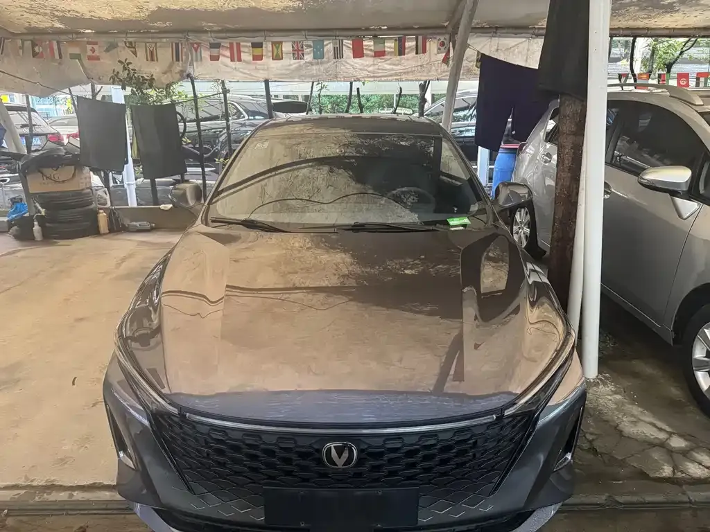 Changan Ruicheng PLUS 2024 из CN, фото 7