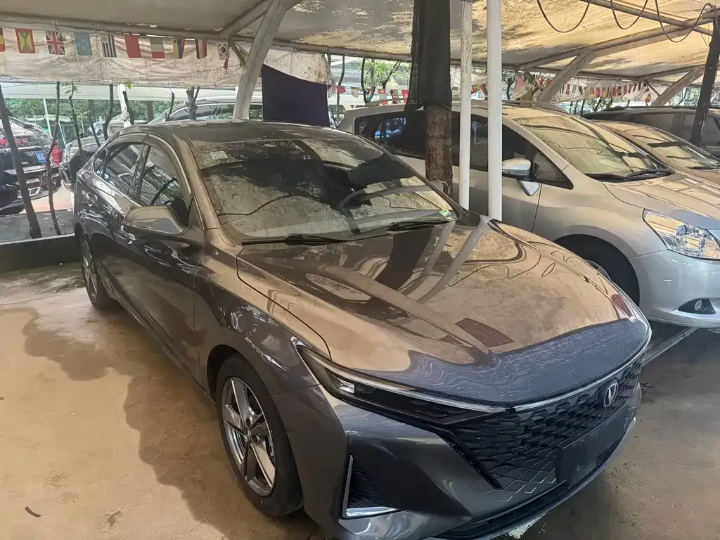 Changan Ruicheng PLUS 2024 из CN, фото 10