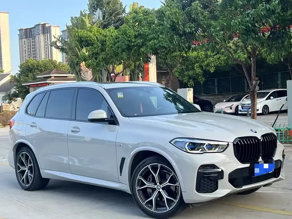 BMW X5 — фото 1