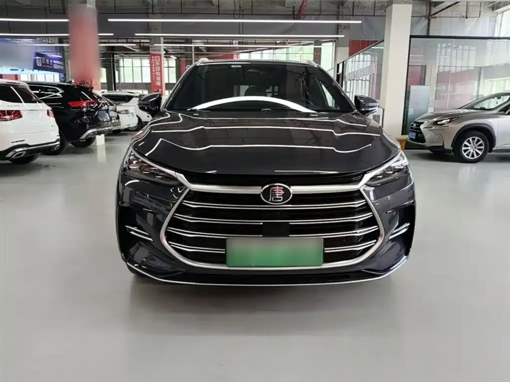 BYD Tang New Energy — фото 5