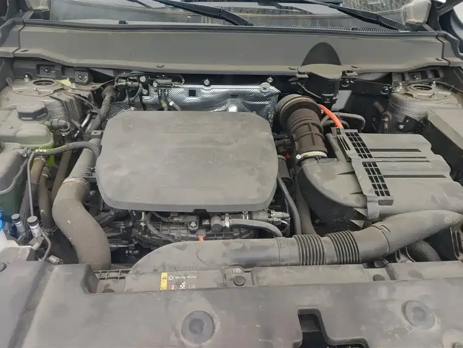 Haval H7 (Big Dog Plus) New Energy 2024 из CN, фото 3