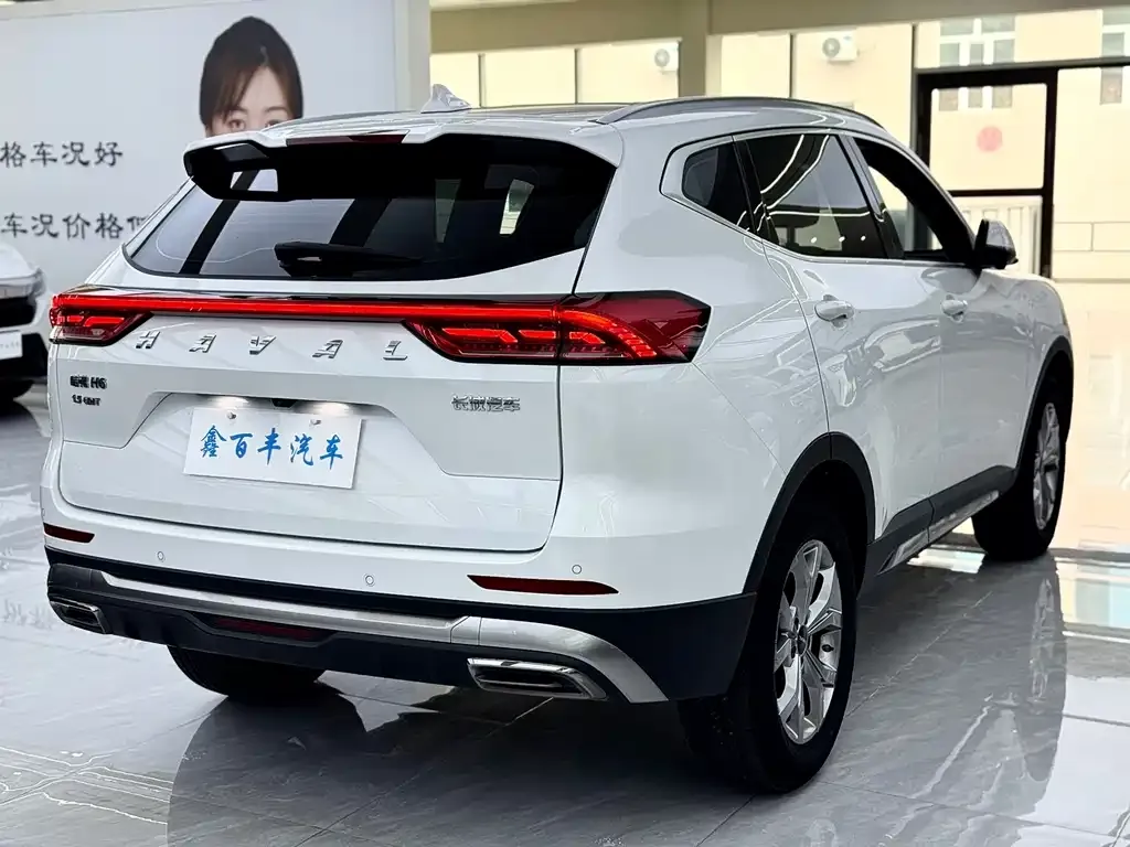 Haval H6 — фото 9