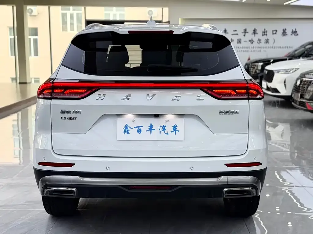 Haval H6 — фото 10