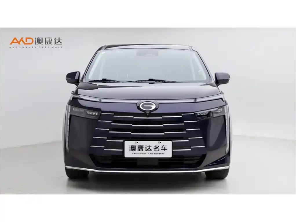 GAC Motor E8 Hybrid 2024 из CN, фото 6