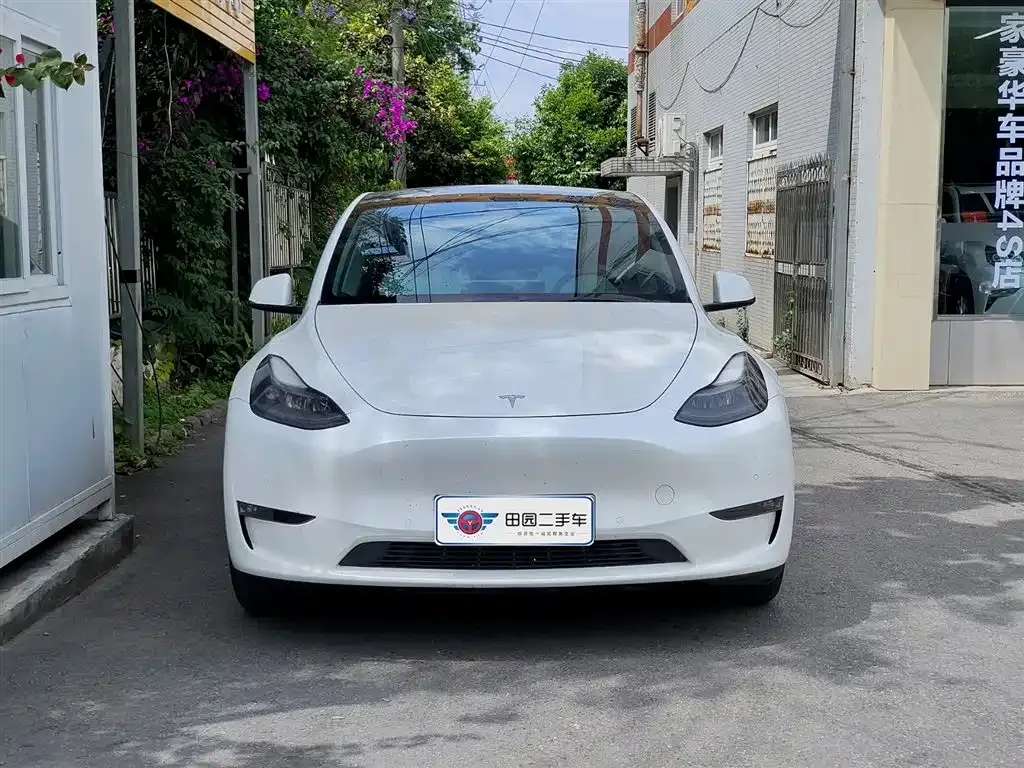 Tesla Model Y — фото 6