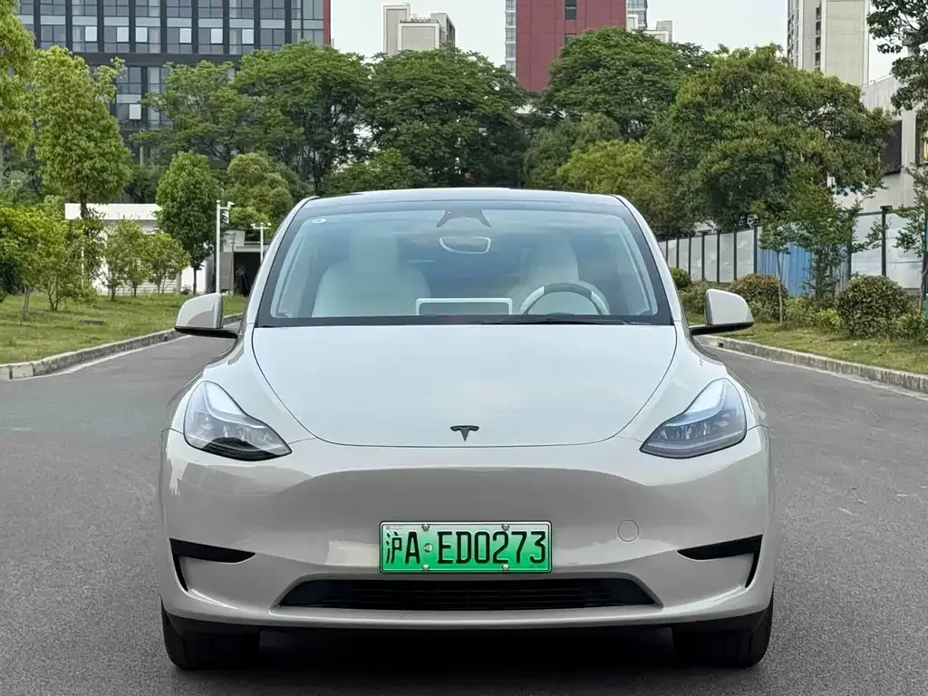Tesla Model Y — фото 5