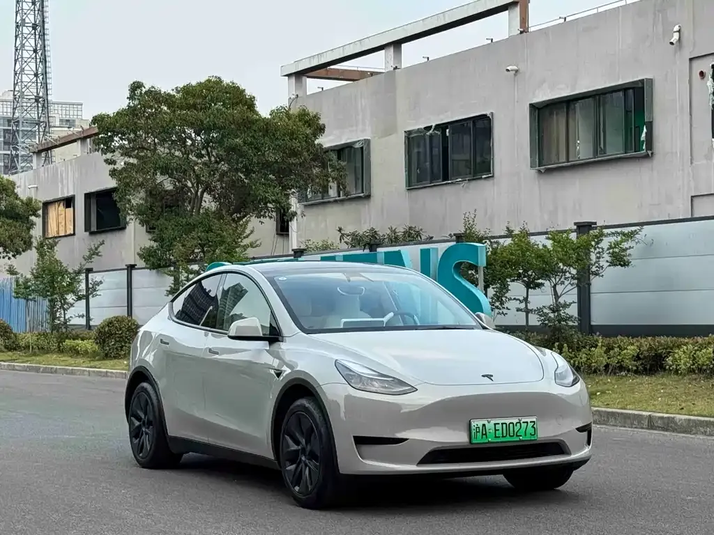 Tesla Model Y — фото 9