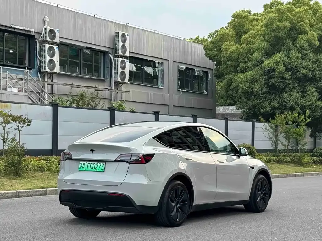 Tesla Model Y — фото 8