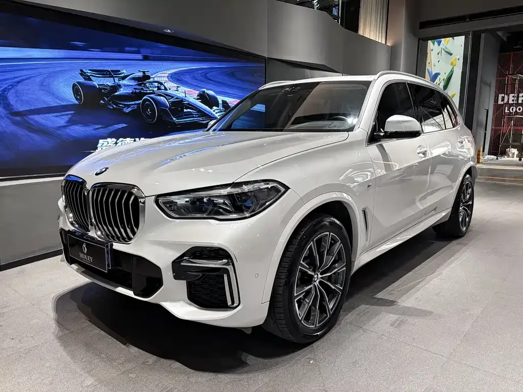 BMW X5 — фото 1