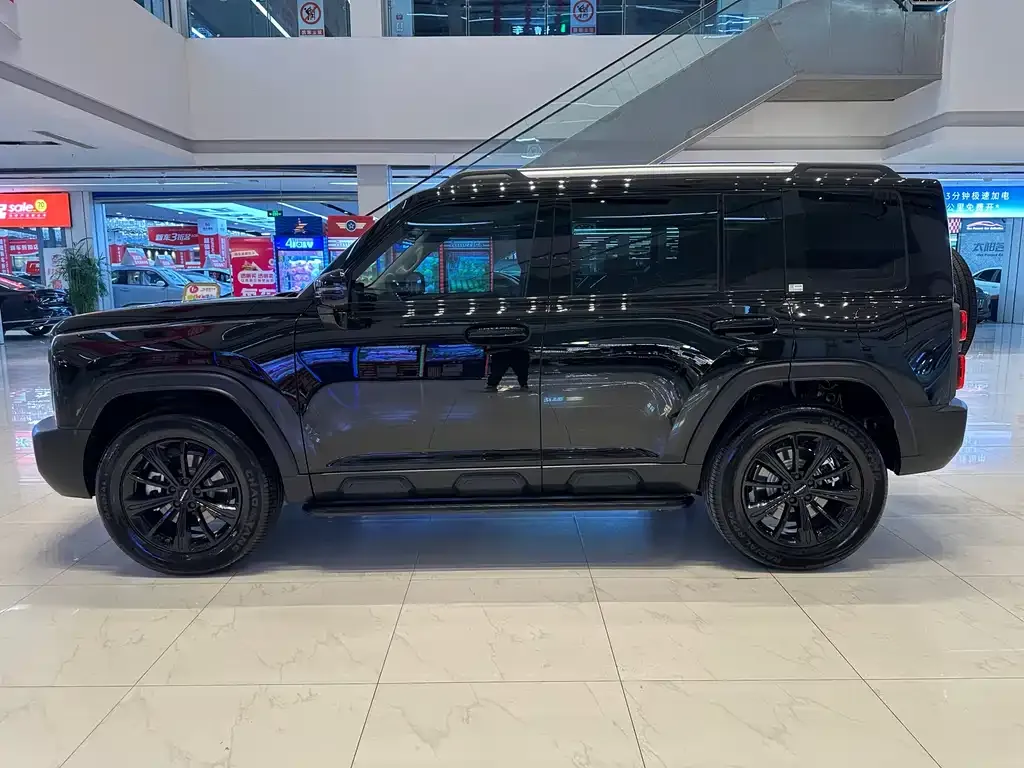 Haval Menglong New Energy — фото 10
