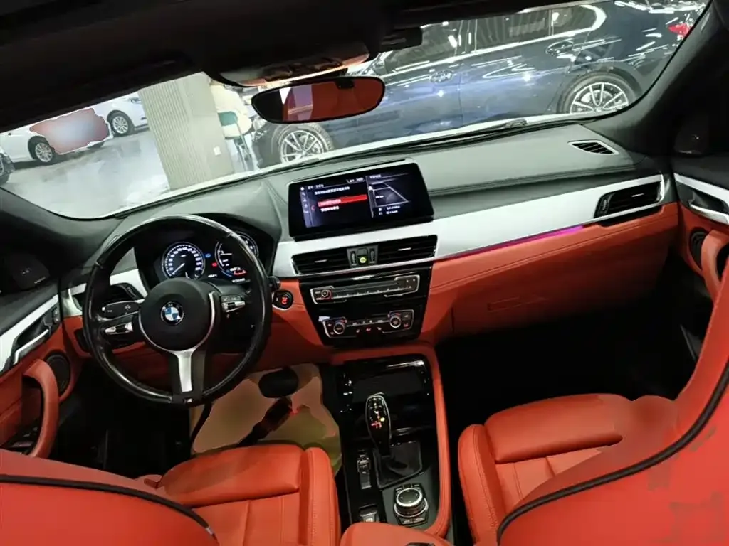 BMW X2 2021 из CN, фото 4