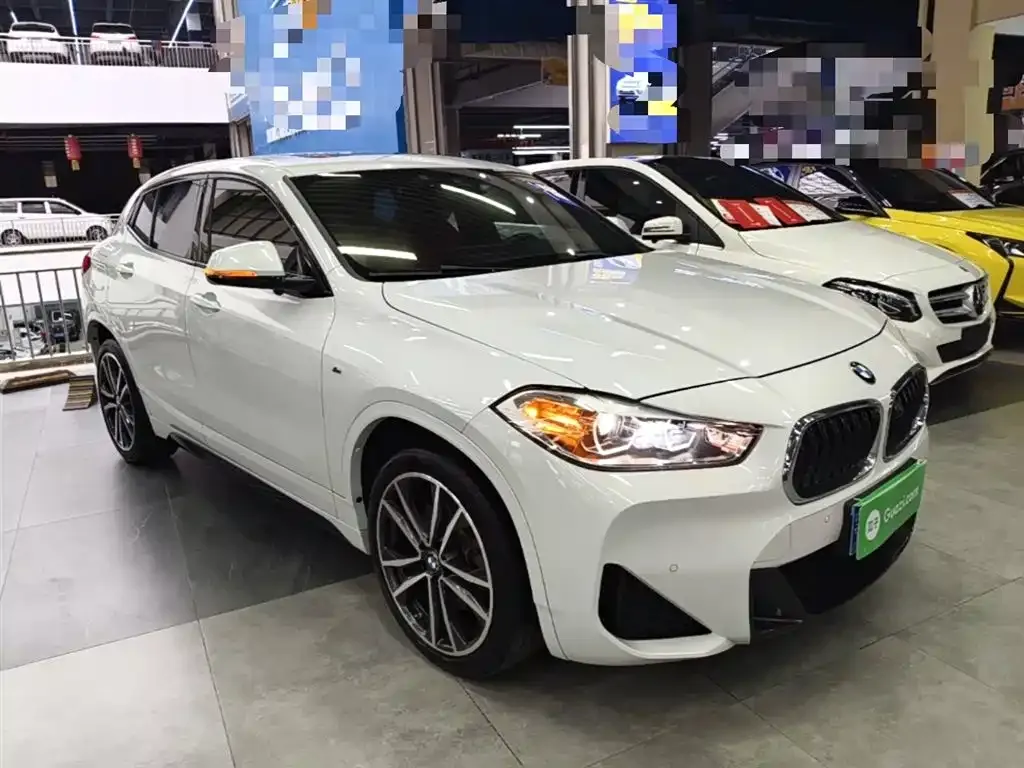 BMW X2 2021 из CN, фото 8