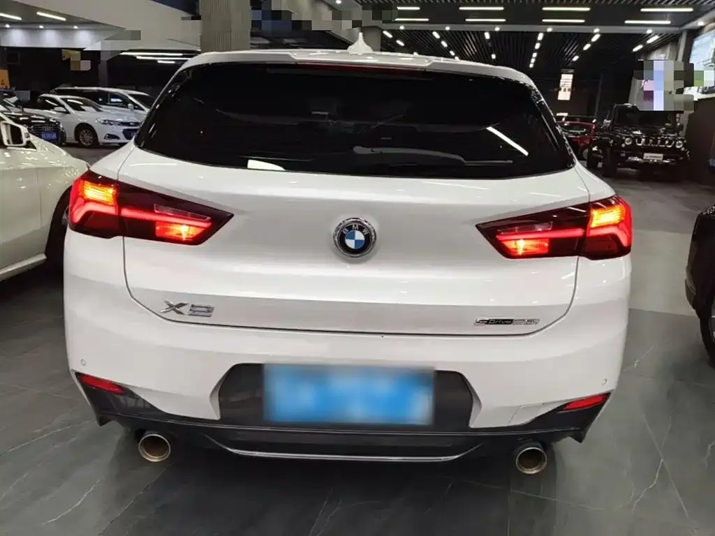 BMW X2 2021 из CN, фото 5