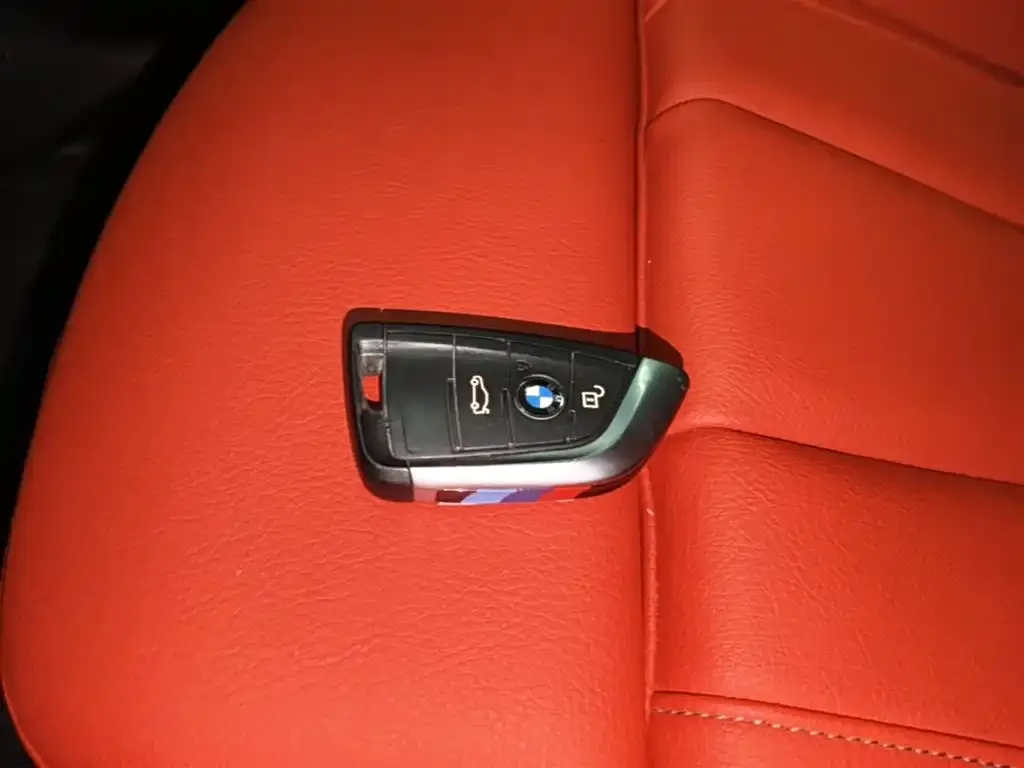 BMW X2 2021 из CN, фото 9