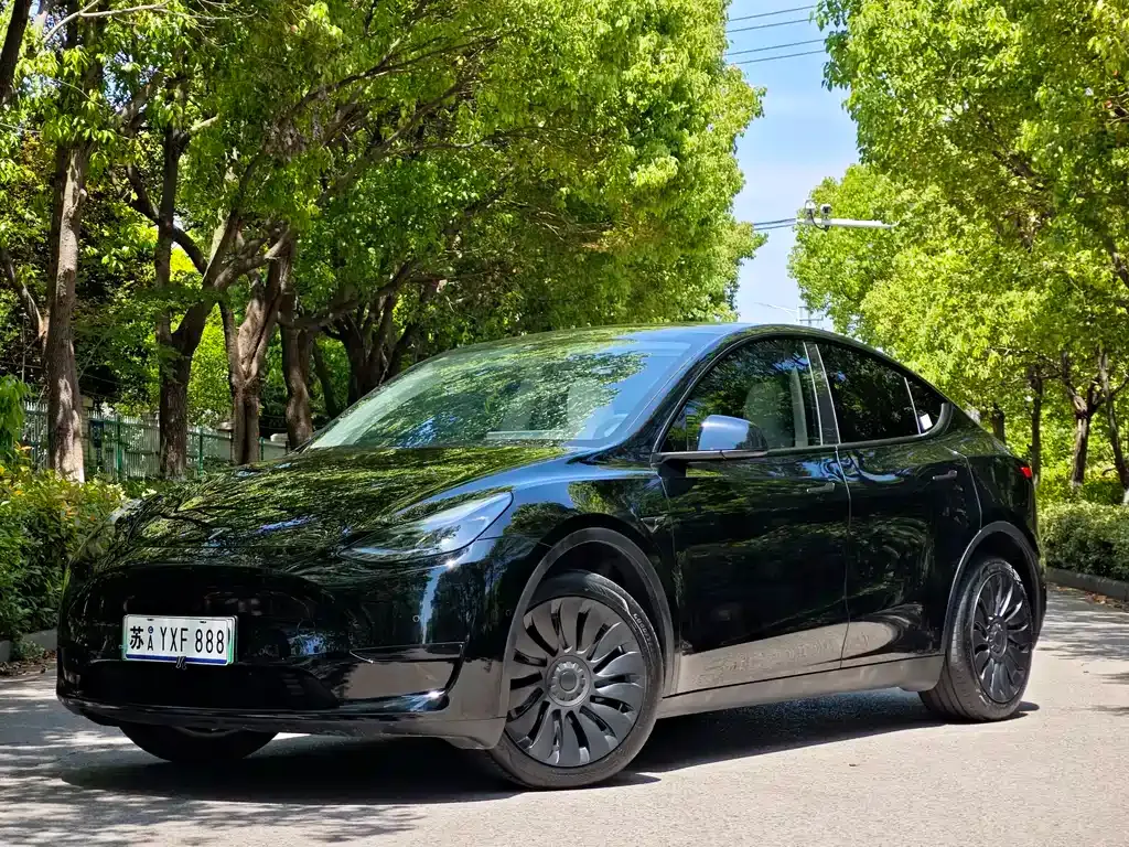Tesla Model Y — фото 1