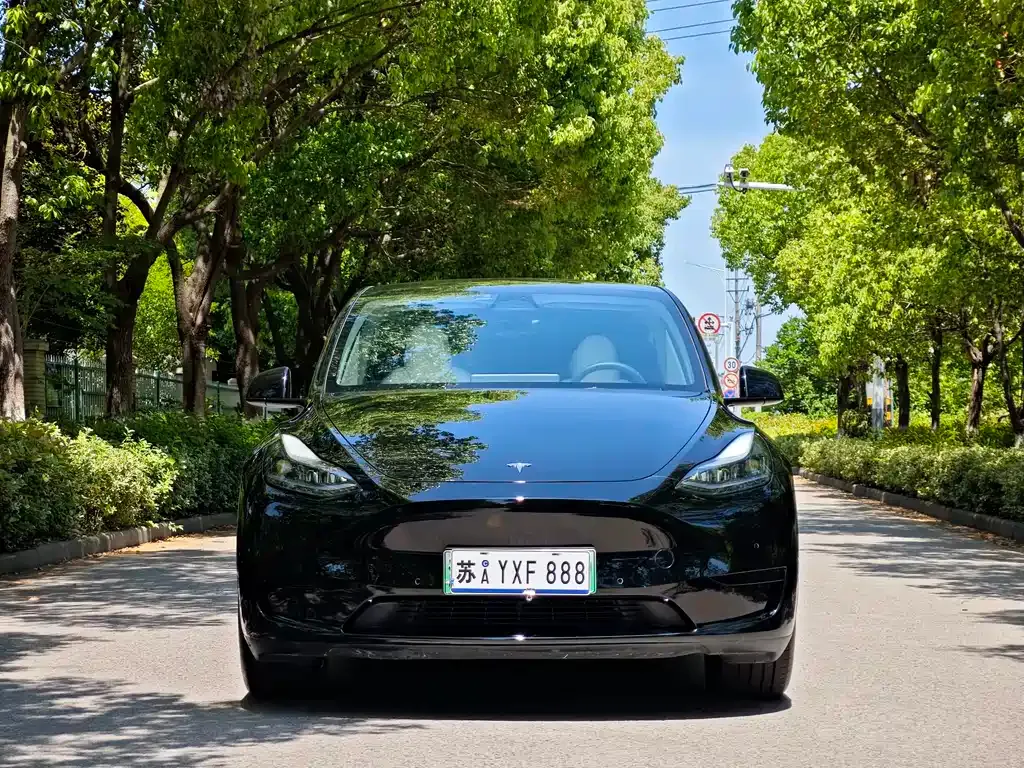 Tesla Model Y — фото 9