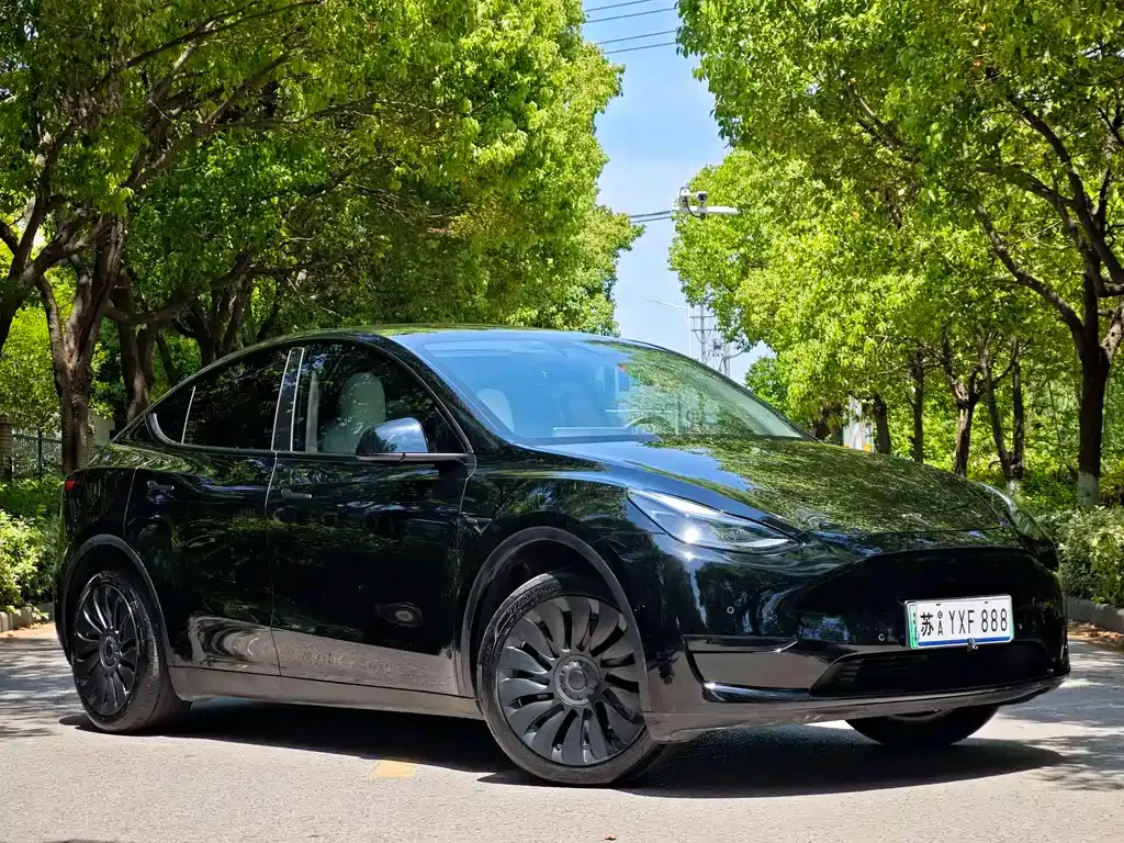 Tesla Model Y — фото 8