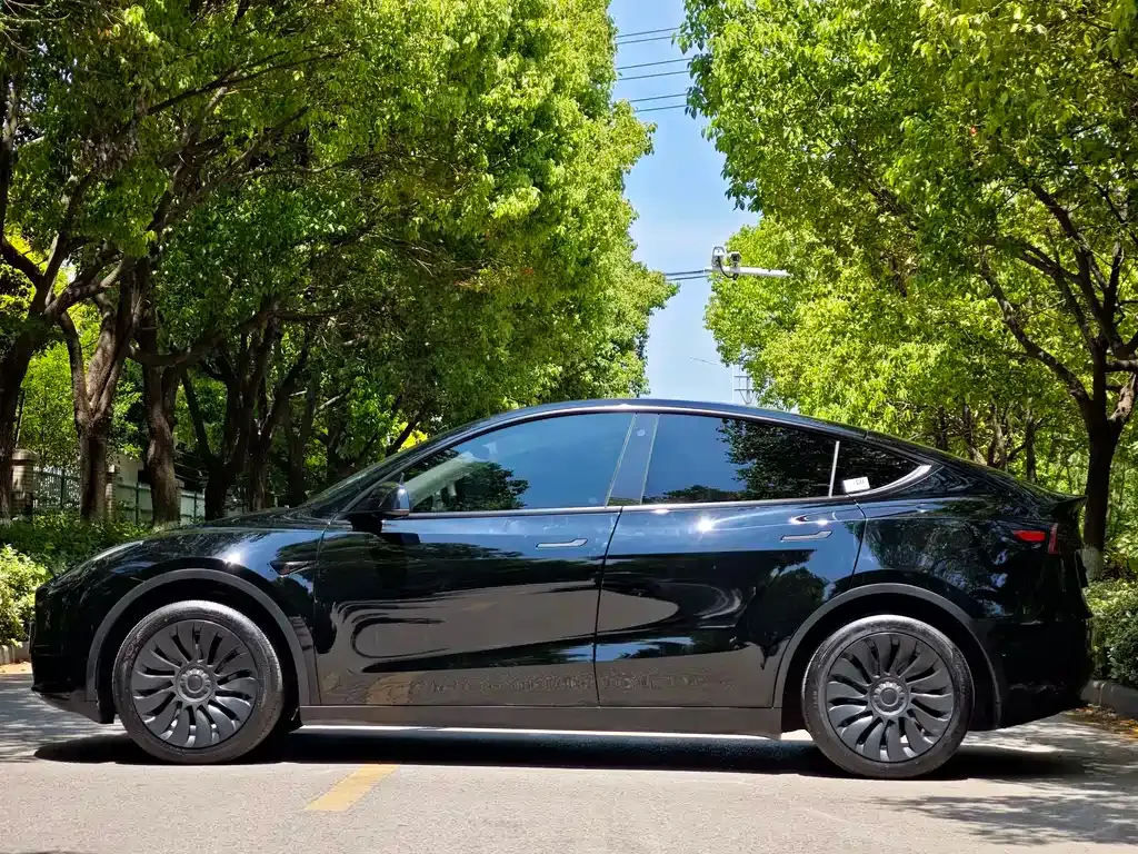 Tesla Model Y — фото 7