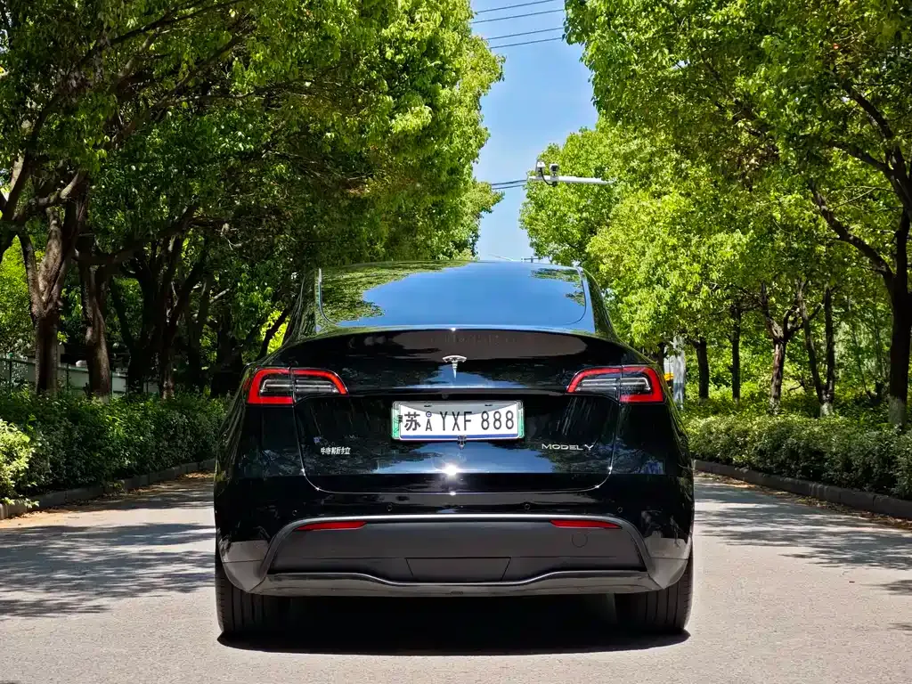 Tesla Model Y — фото 10
