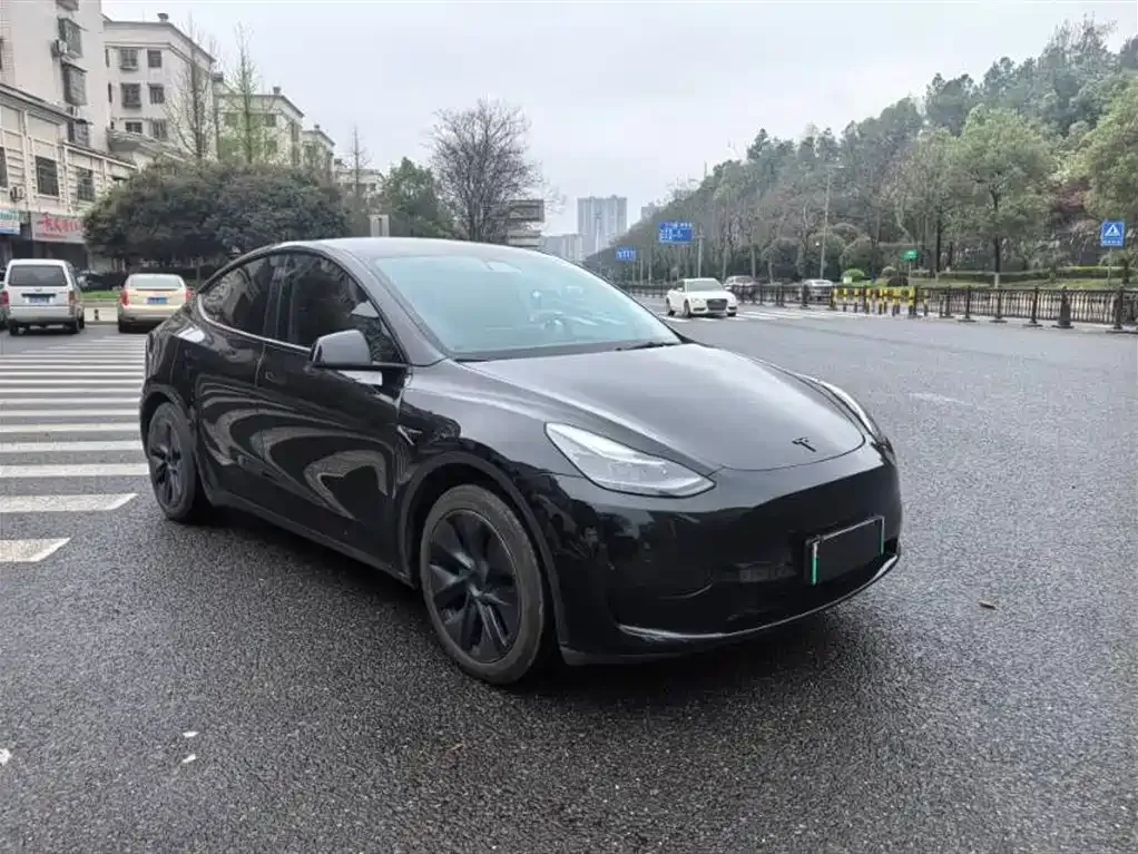 Tesla Model Y — фото 8