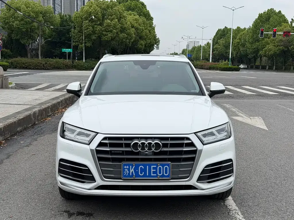Audi Q5L 2021 из CN, фото 9