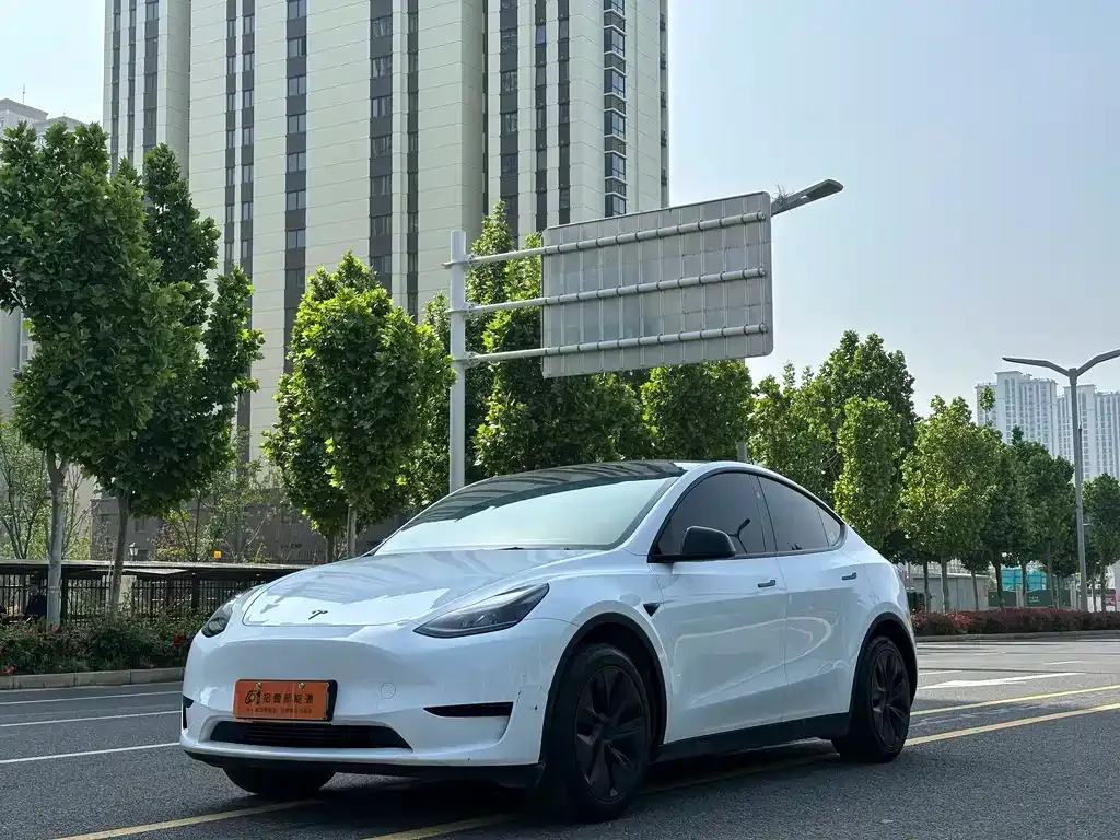 Tesla Model Y — фото 1