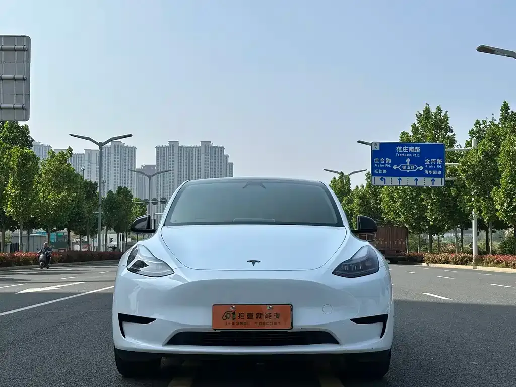 Tesla Model Y — фото 9