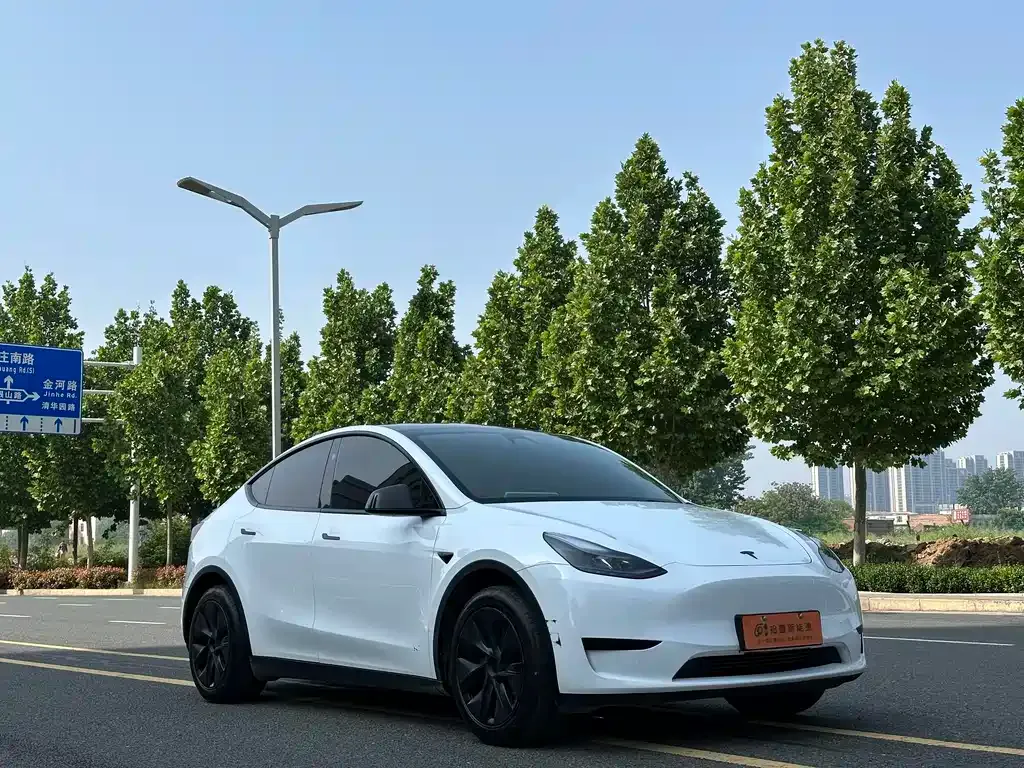 Tesla Model Y — фото 10
