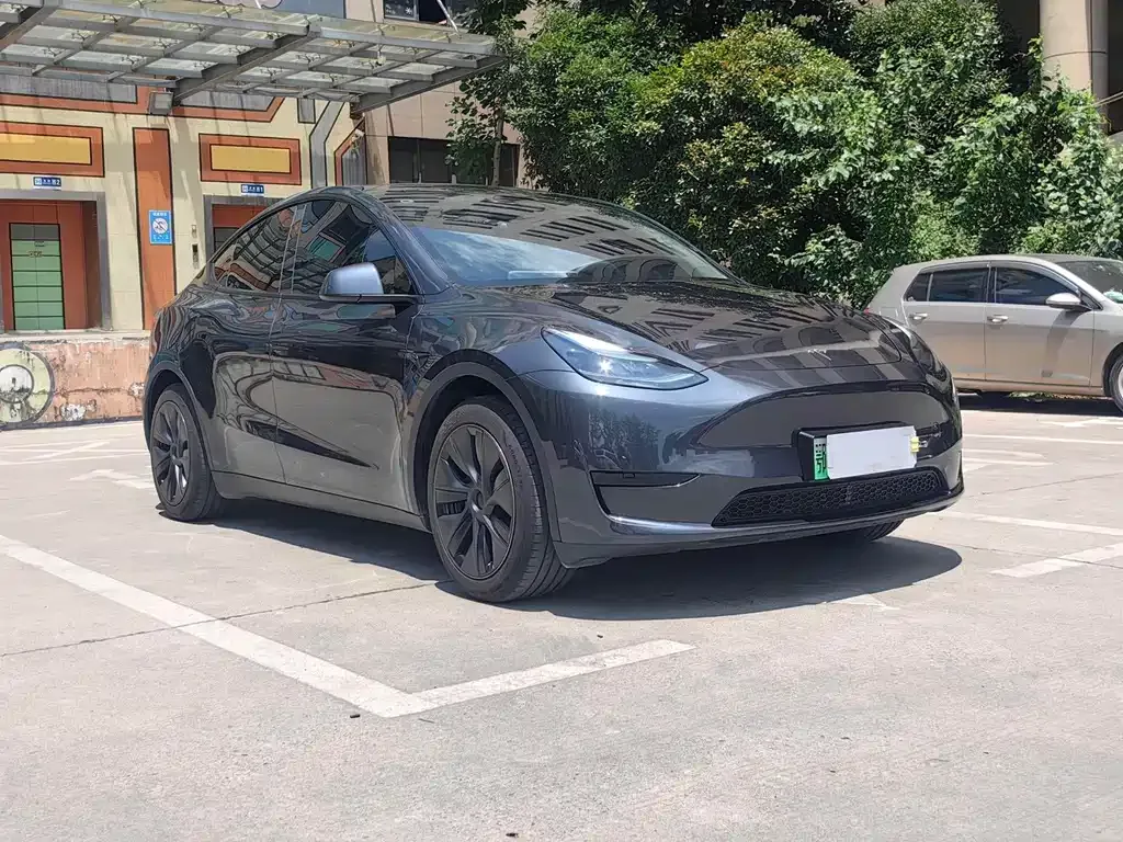 Tesla Model Y — фото 10