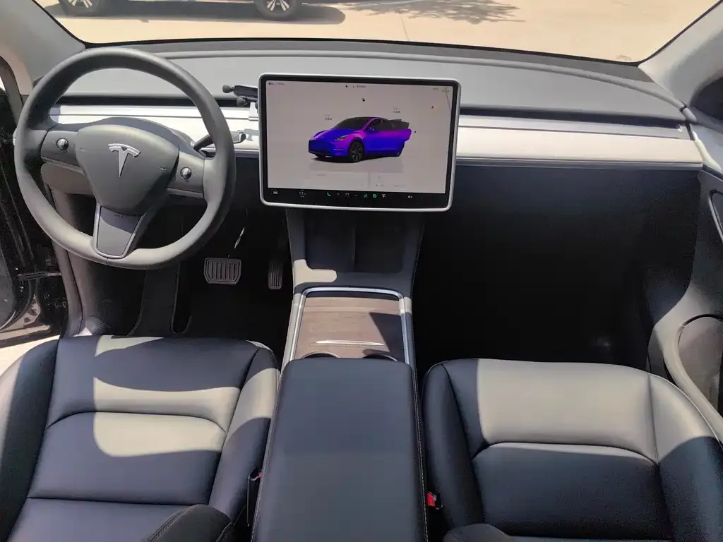 Tesla Model Y — фото 8