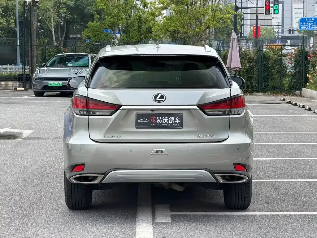 Lexus RX 2022 из CN, фото 6