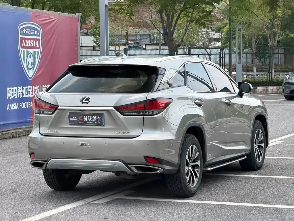 Lexus RX 2022 из CN, фото 4