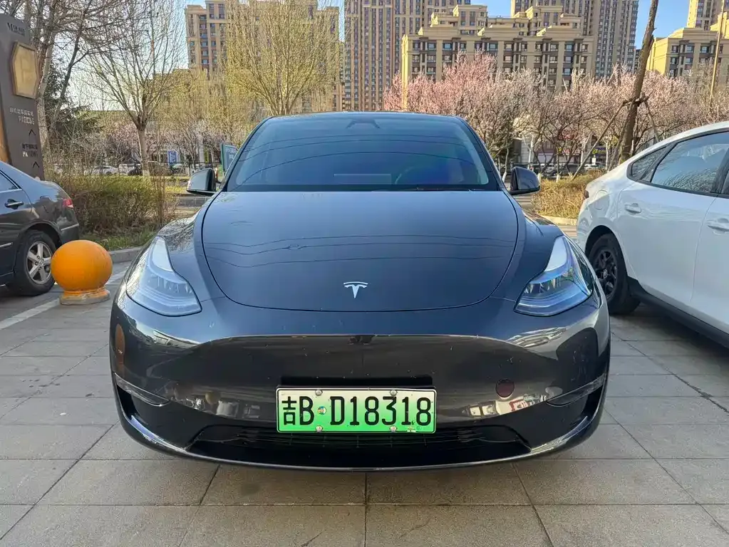 Tesla Model Y — фото 1